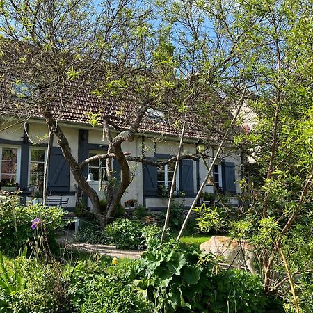 Chambre Cosy Bonnieres 外观 照片