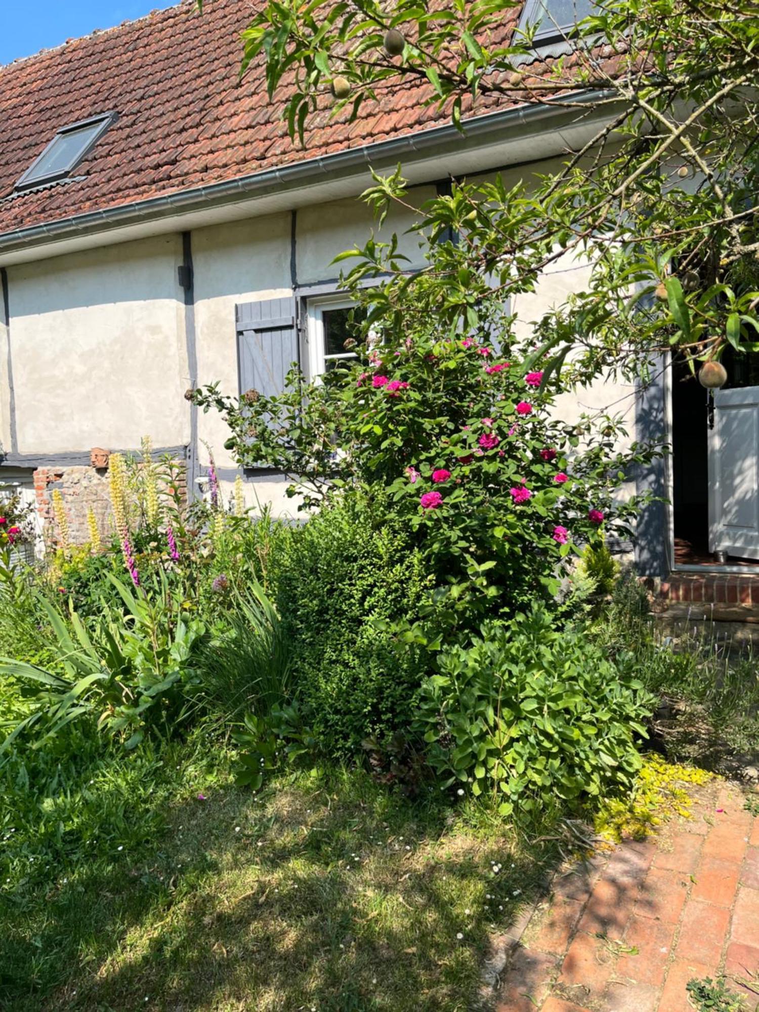 Chambre Cosy Bonnieres 外观 照片